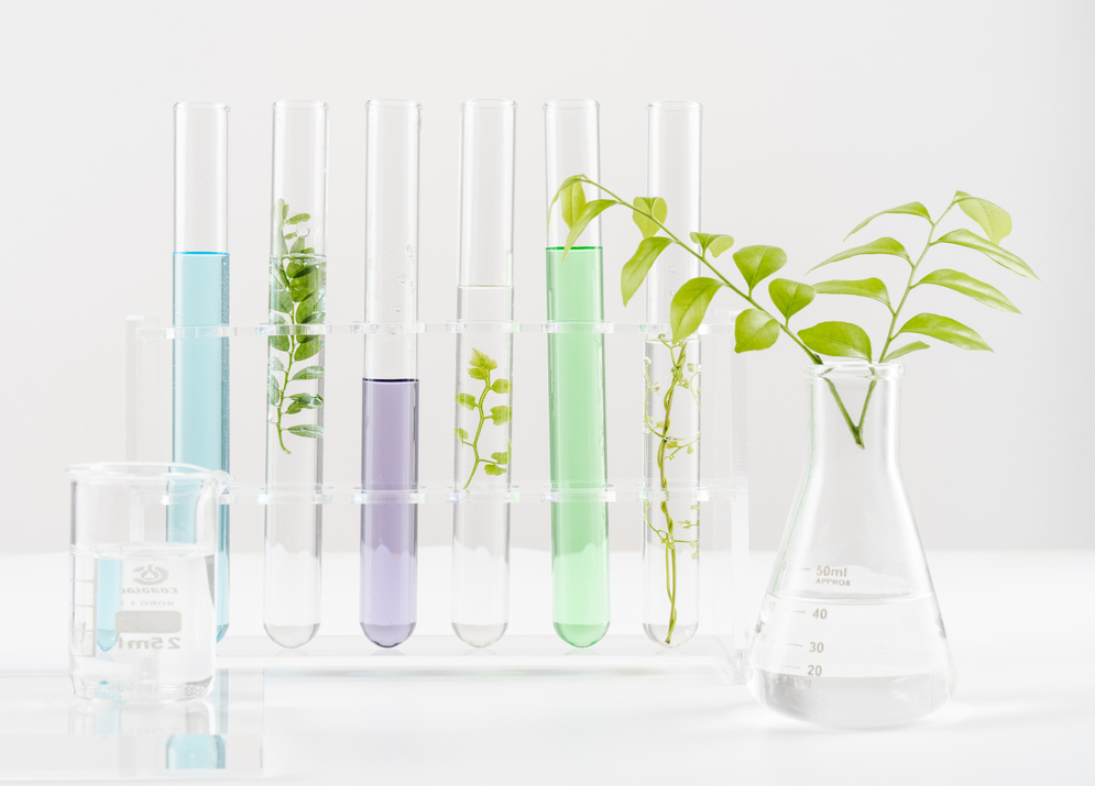 Test Tubes with Leaves